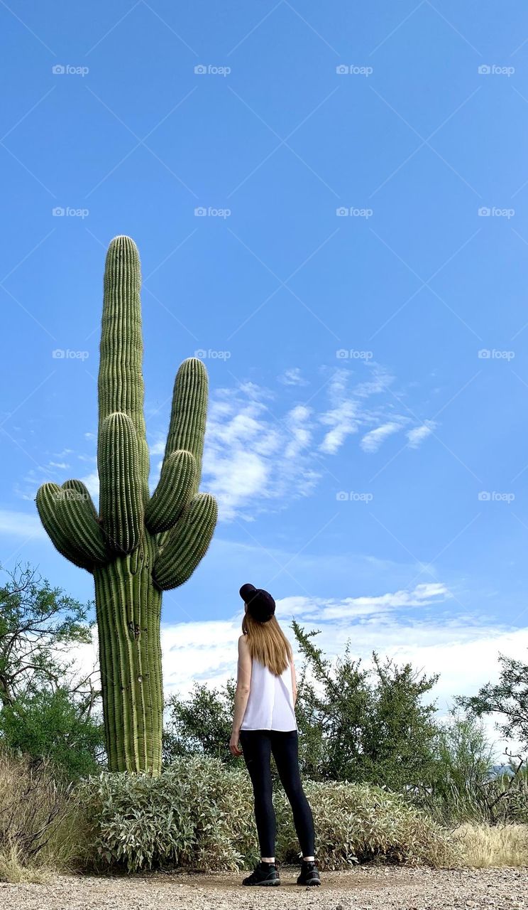 Cactus 