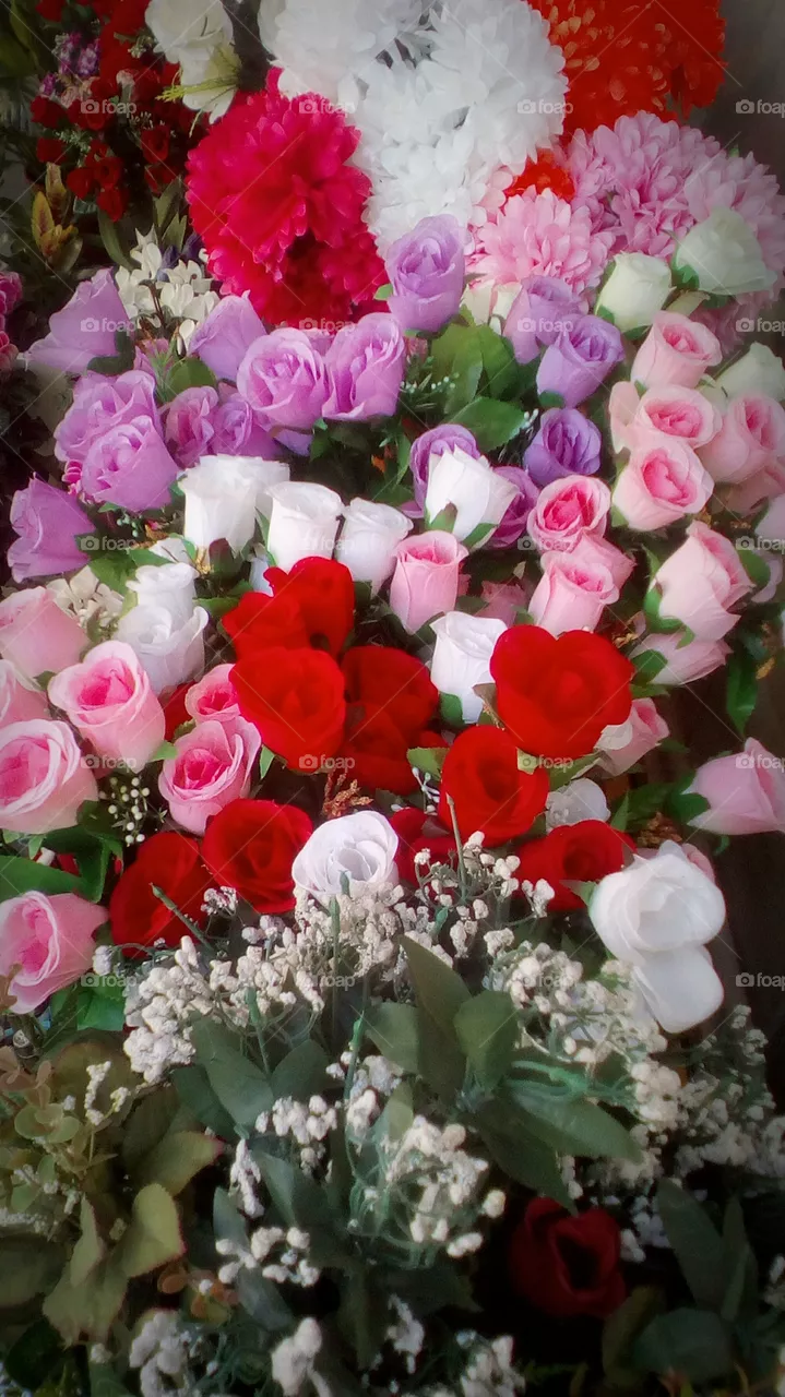 flower