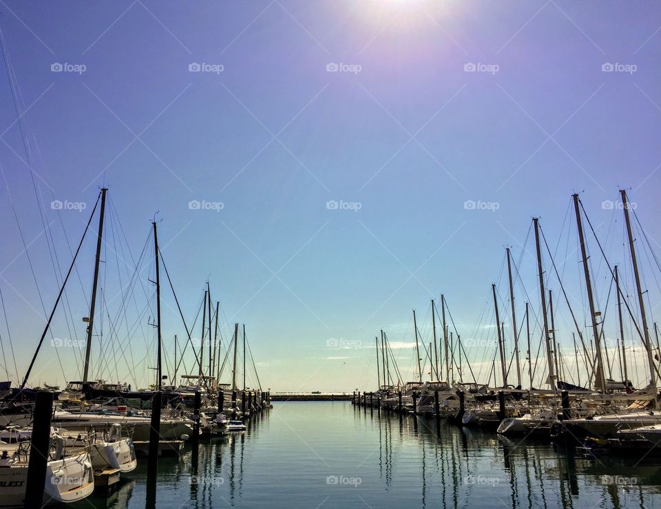 Sailboats on Lake Michigan 