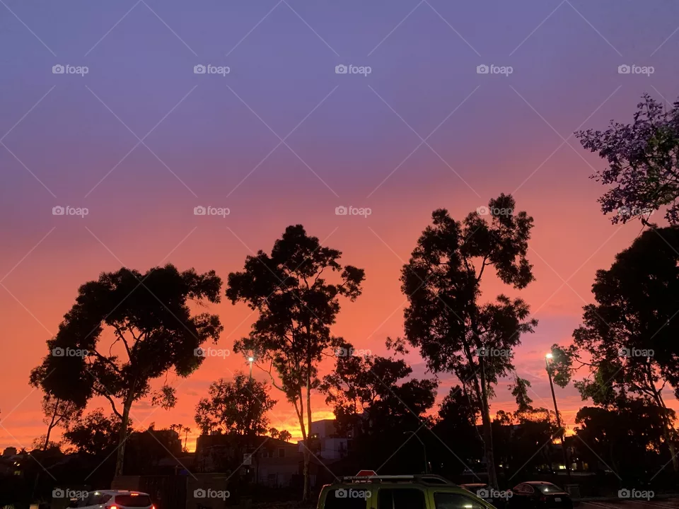 Dusk