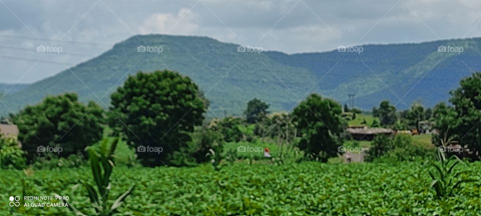 The beautiful hill station of Vindhyachal mountain is ranked number one in the world, which has never been seen till date.