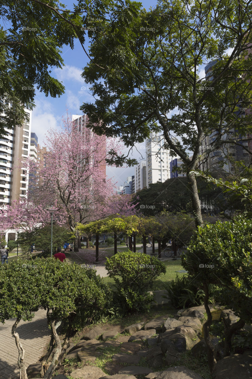 Japanese square in Curitiba Parana Brazil