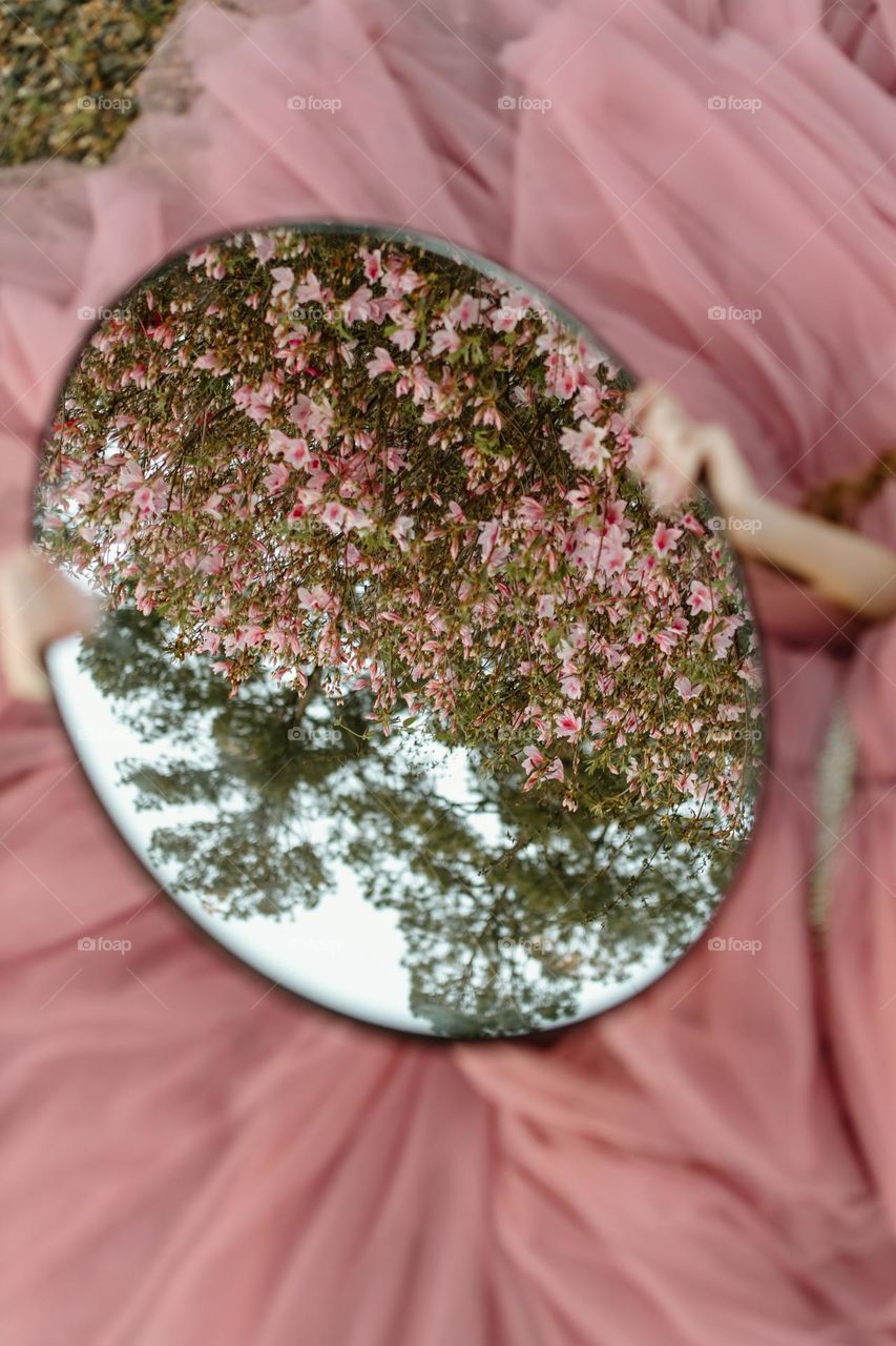 Reflection in mirror