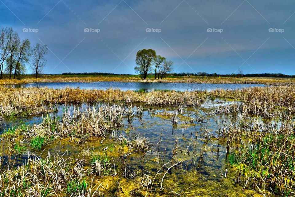 Rollins savanna preserve. Early spring marsh at Rollins Savannah Wildlife Preserve near Chicago Illinois