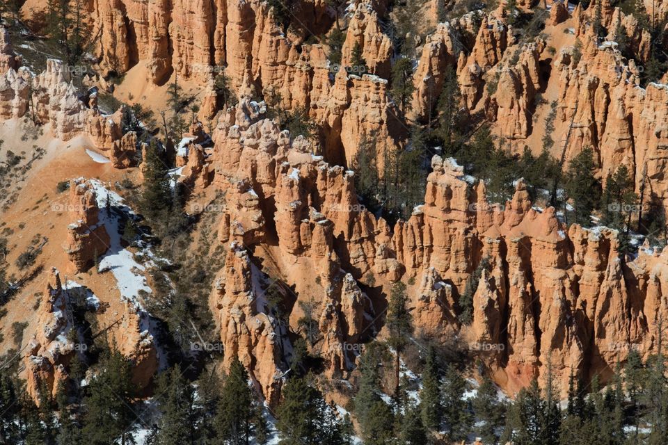 The hoodoos 