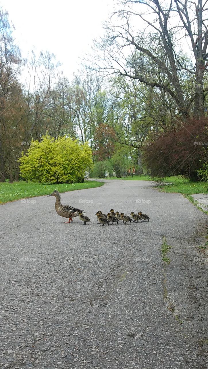 lovely family