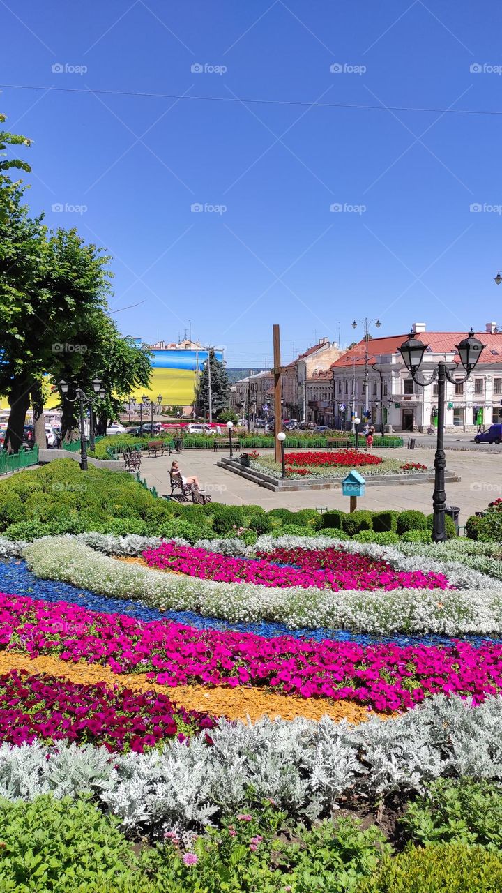 View of the central square of the city