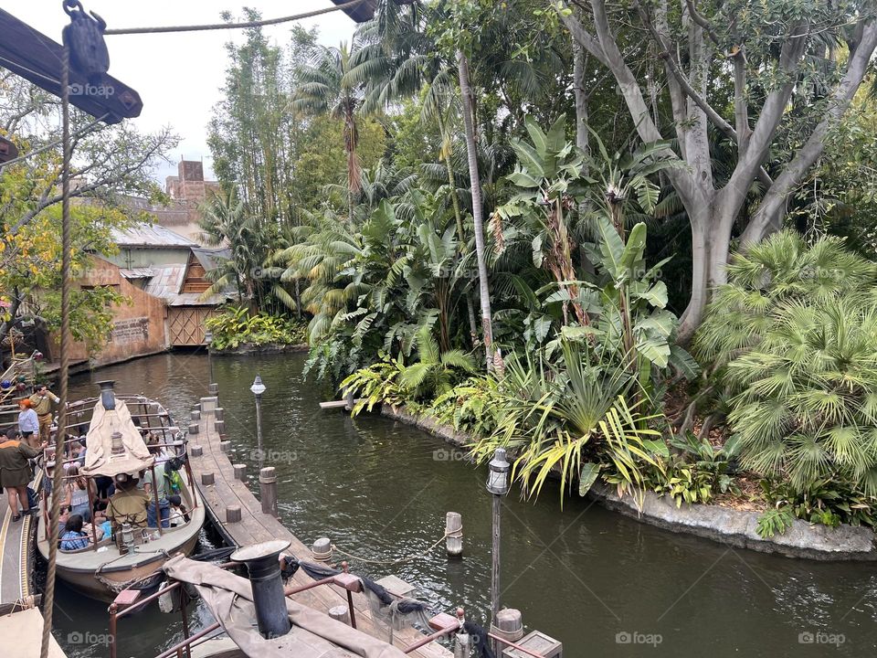 Take a ride at the jungle in Disneyland . Perfect weather perfect place 