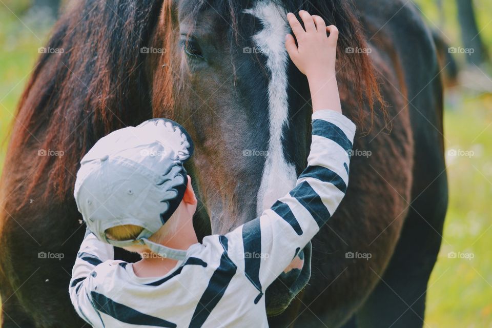 Boy hugging a big horse