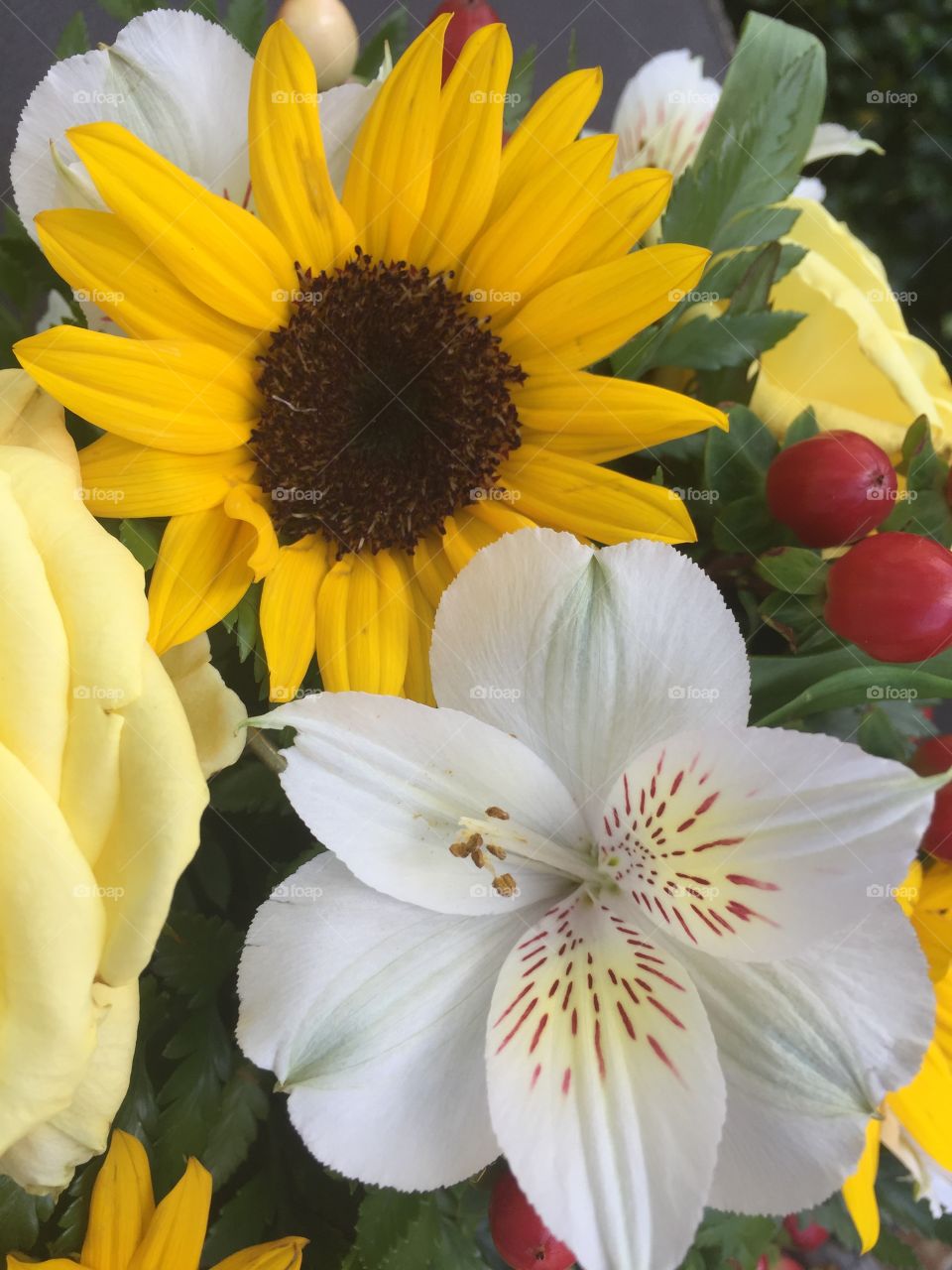 Sunflowers amongst others 