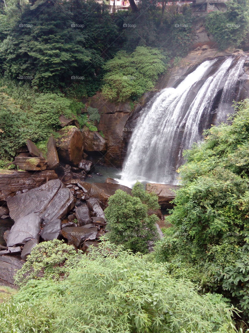 nature and water falls