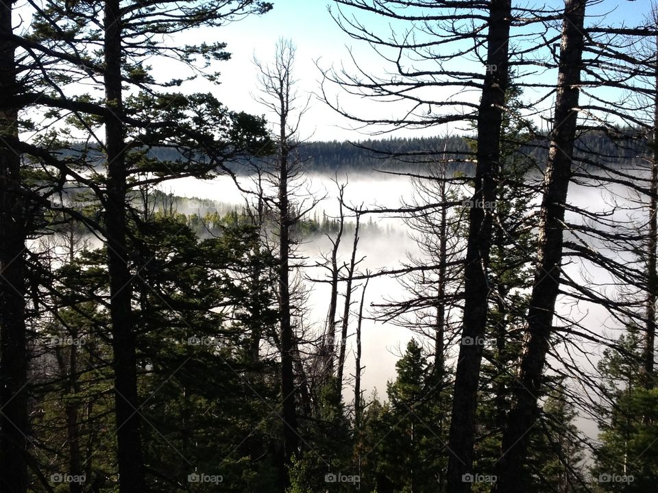 High angle view of nature