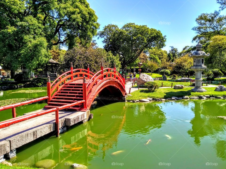 Japanese garden in Buenos Aires