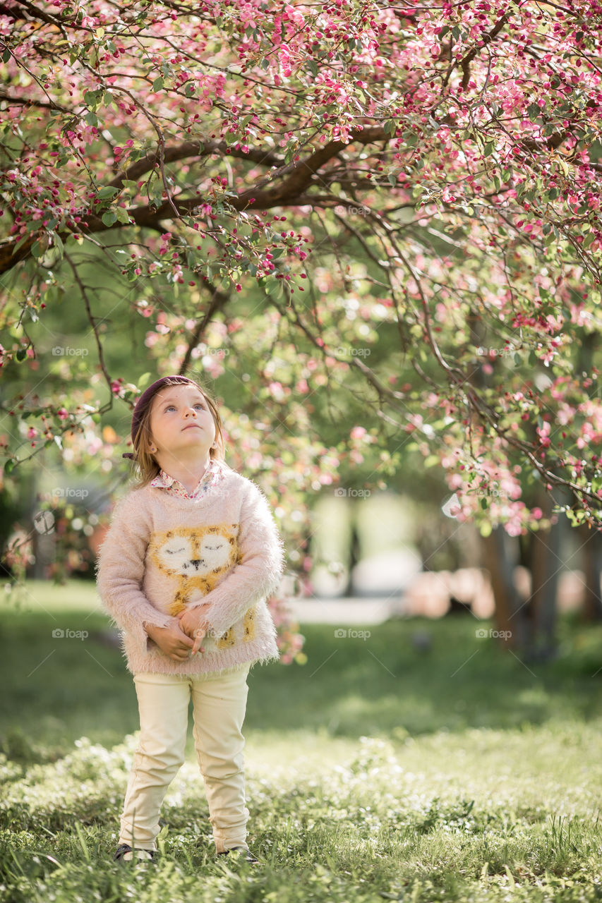 Cute Little girl in a blossom park