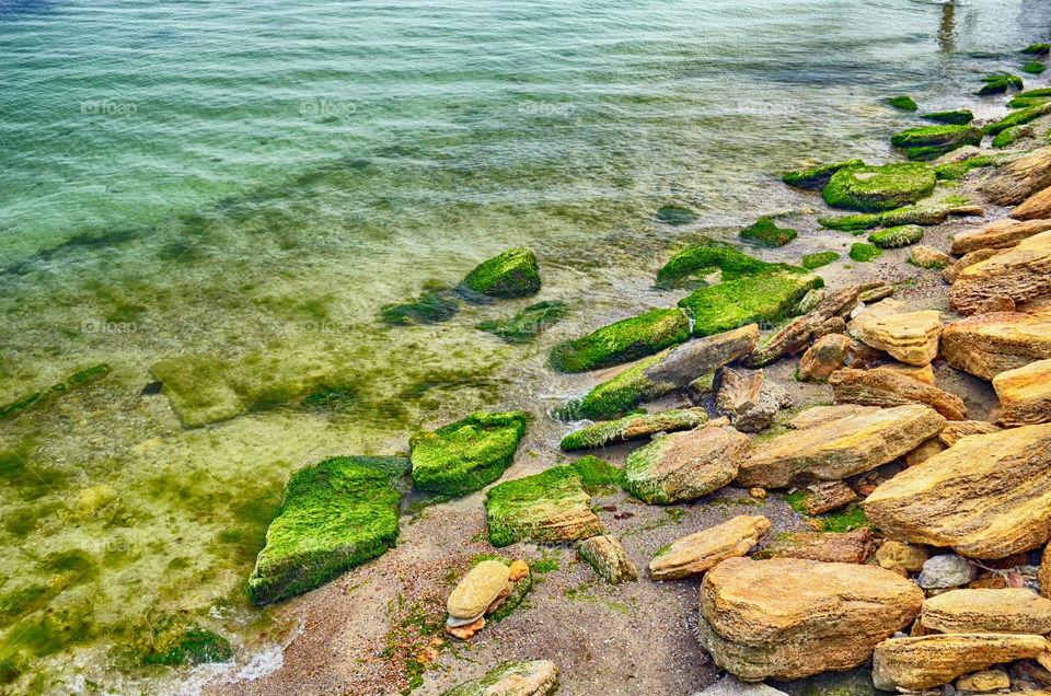 Bright paints of the summer 😀