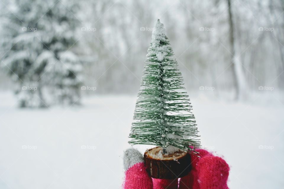 small decorative Christmas tree in the hand winter snowy landscape