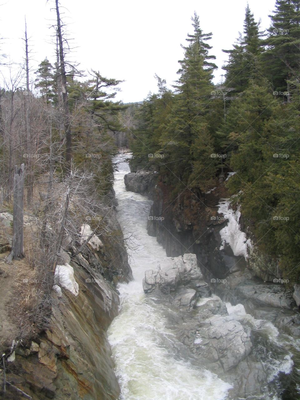 River rapids through a forest rock cut near Lake Placid, New York