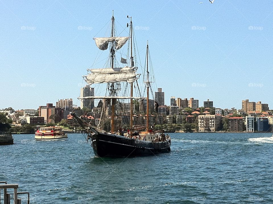 All aboard the Southern Swan 