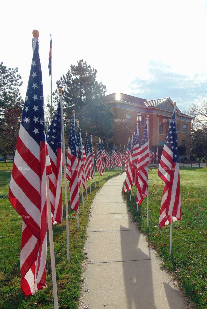 American flags stand at salute along the walkways to the Ottawa, Kansas courthouse during the Veteran's Day. Festivities in the downtown area, honored our local heroes.