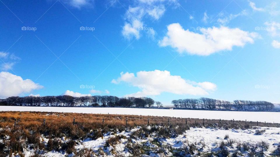 Snowy field North Devon, England