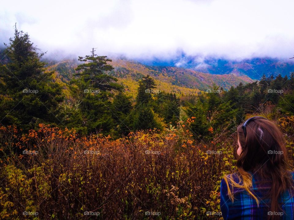 Mt Mitchell 