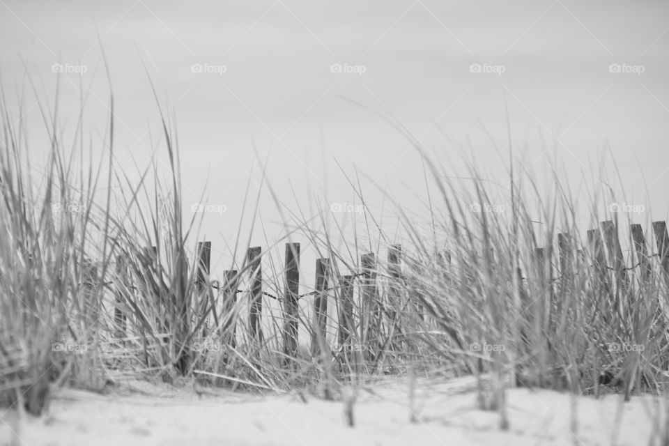 Windy day at the beach