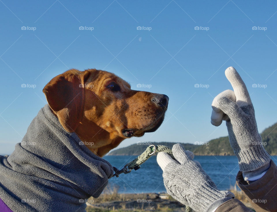 Day at the beach with Manzella