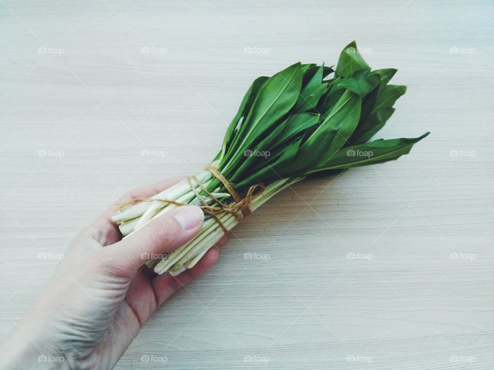 Wild garlic. Wild garlic in the hand