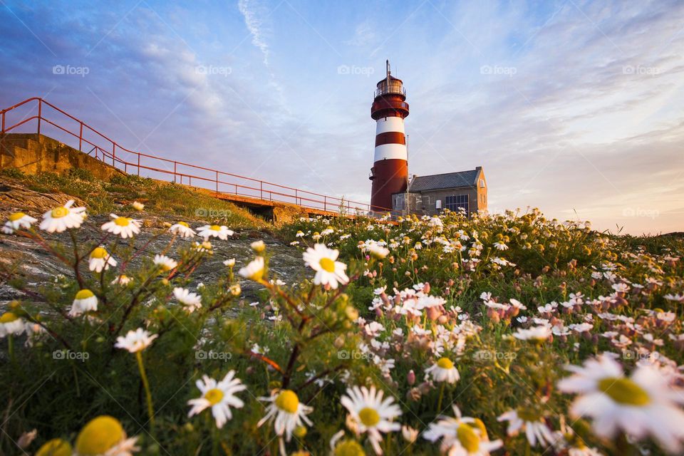 Norweigian Lighthouse