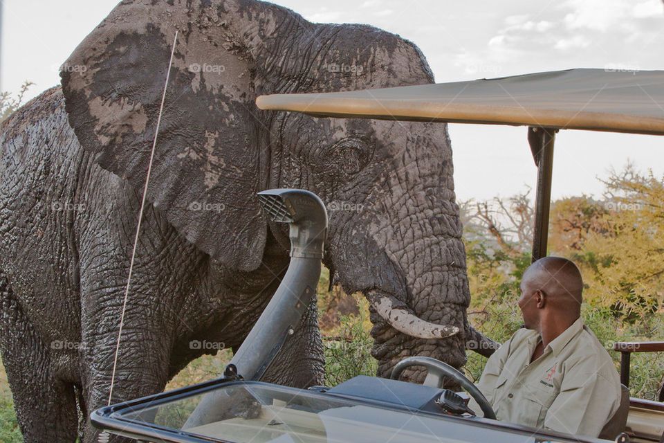 tourist elephant africa vehicle by mike007