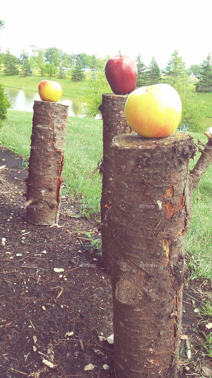 balancing apples