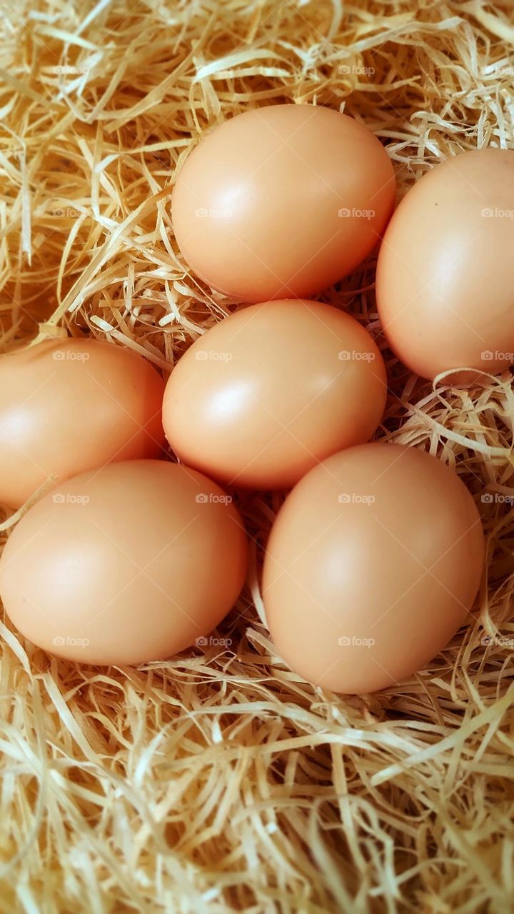 a beautiful picture, several eggs in a nest.