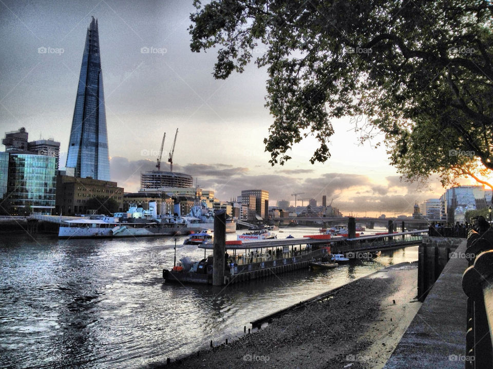 city tree london boats by angeljack