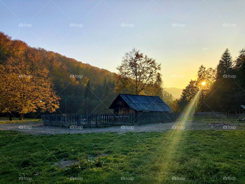 Golden hour at countryside