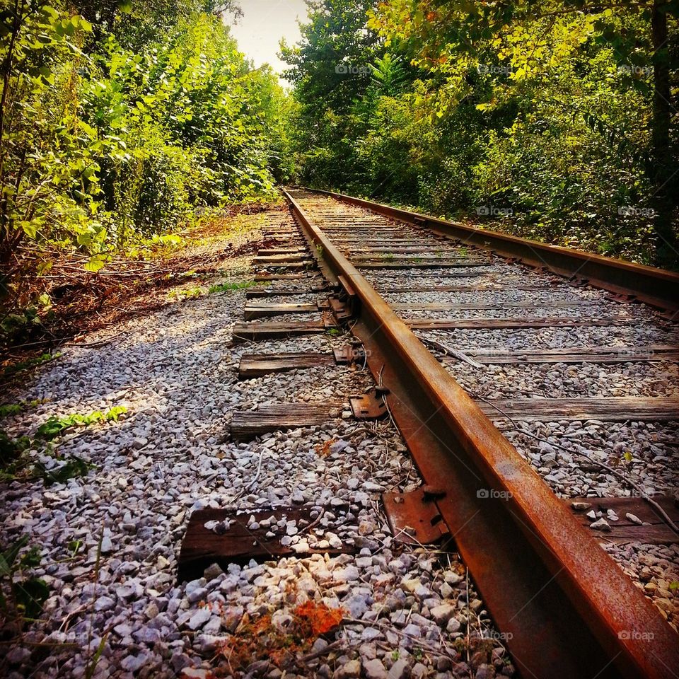 abandoned rail