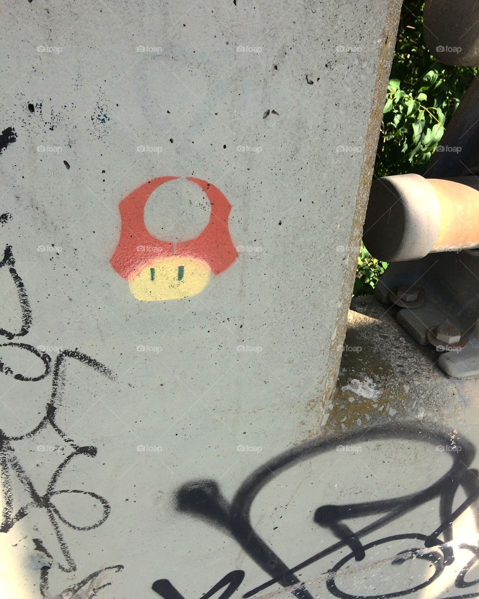 Mario Mushroom 