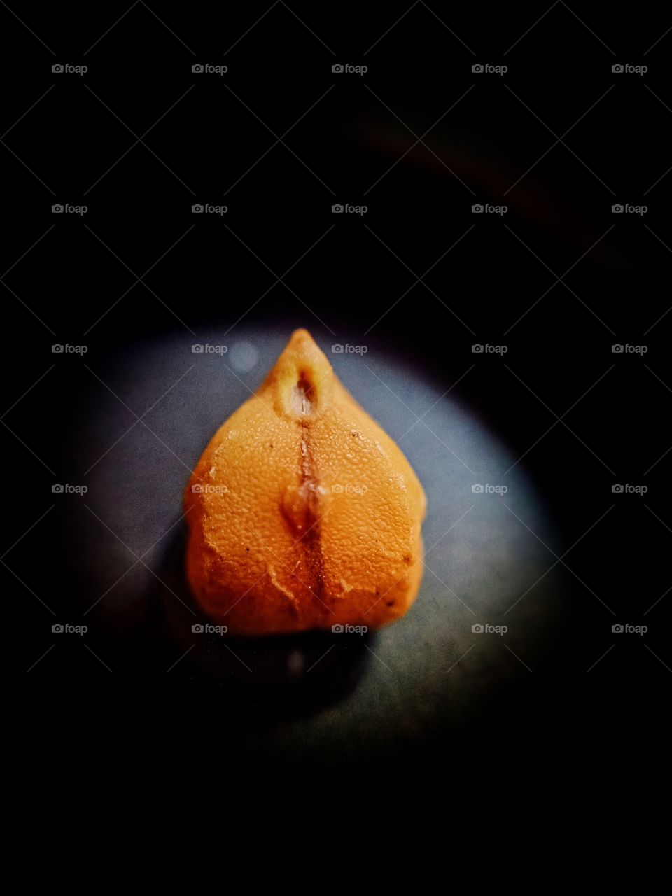 Cicer arietinum (Chickpea)