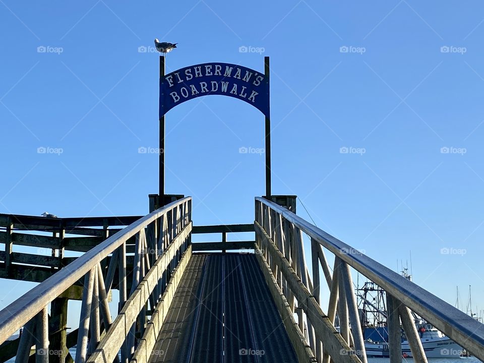 Perhaps the sign should include seagulls, too.