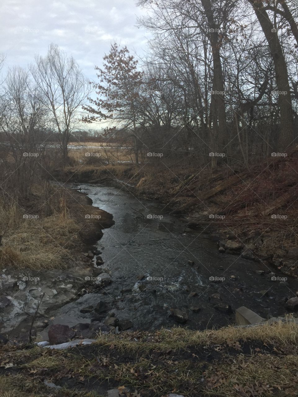 Creek thawing in February 