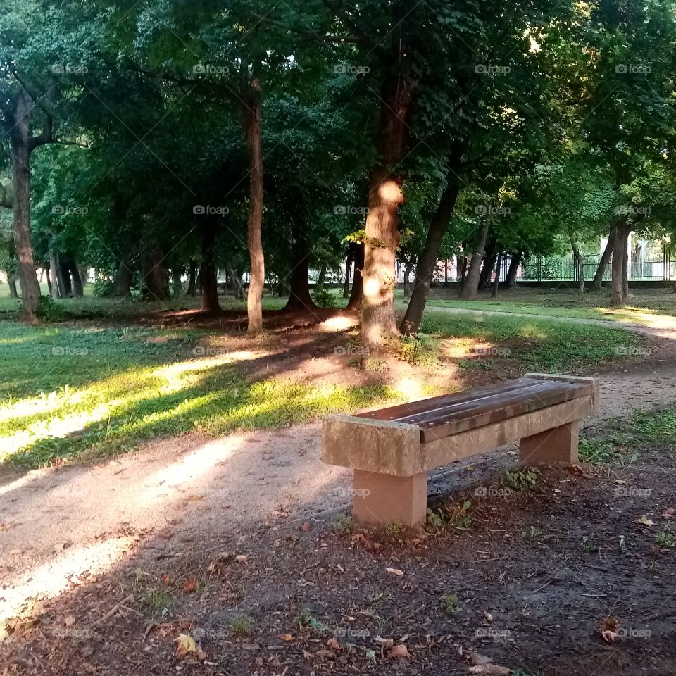In the Park