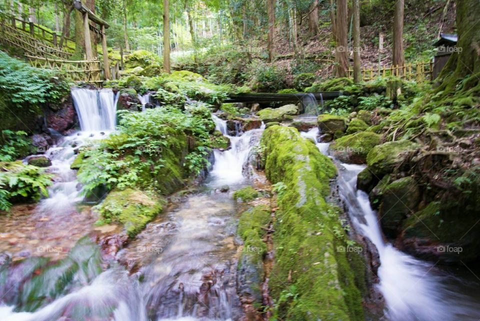 Cachoeira e floresta no Japão!