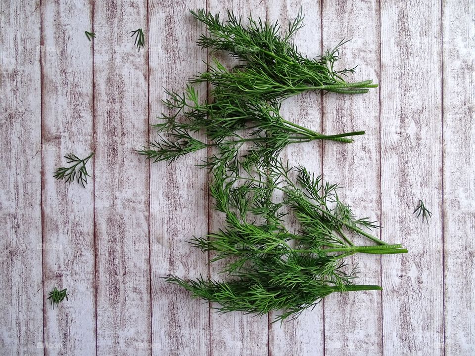 Fresh dill