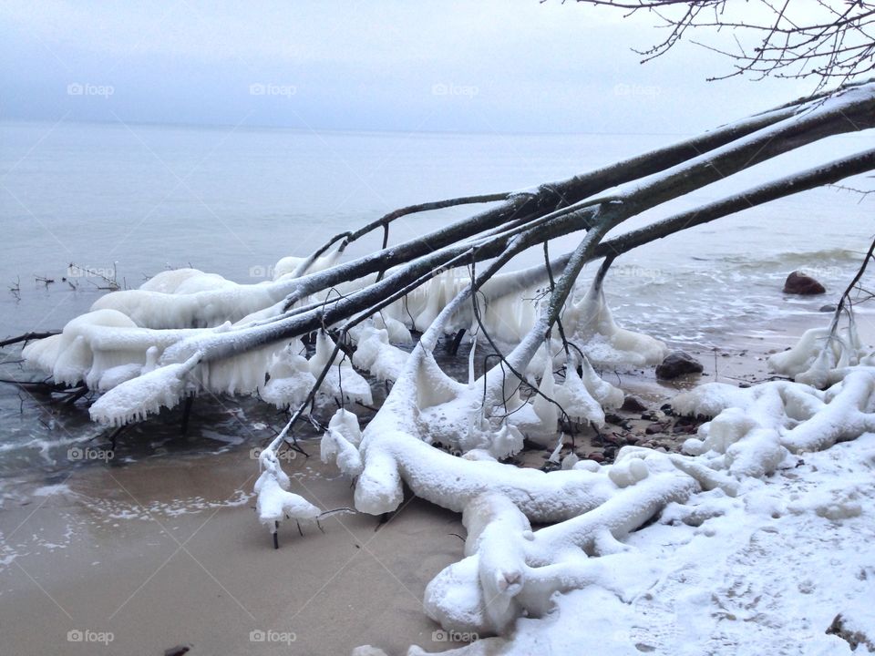 Winter, Snow, Ice, Frost, Water