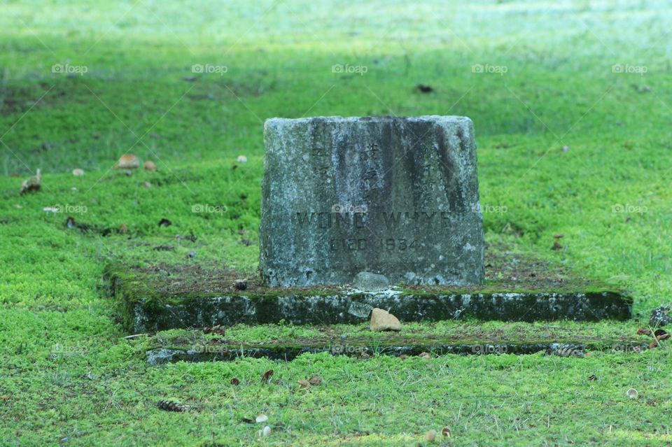 An old weatherworn and moss covered grave and headstone in a Japanese and Chinese cemetery on a misty and frosty morning. 