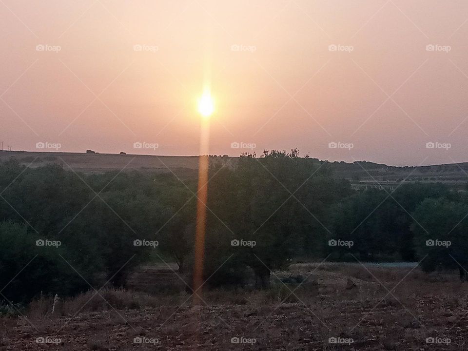 Sunset in the field sky