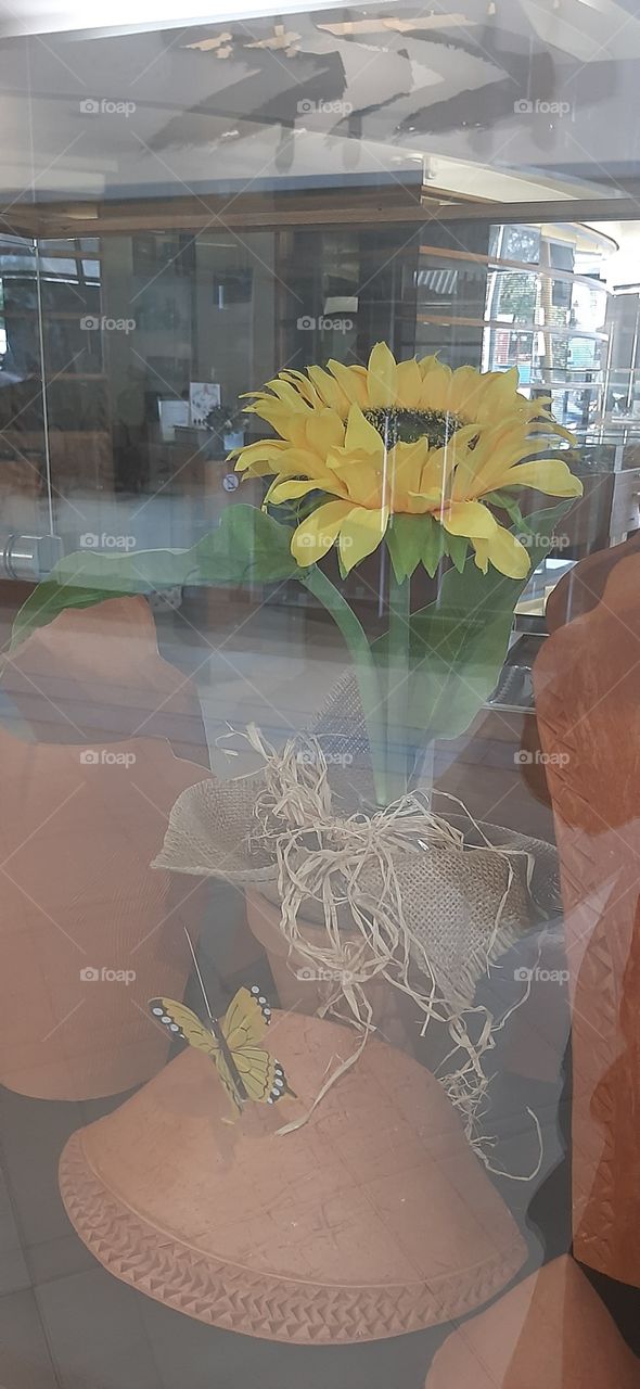 sunflower displayed at the shop window.