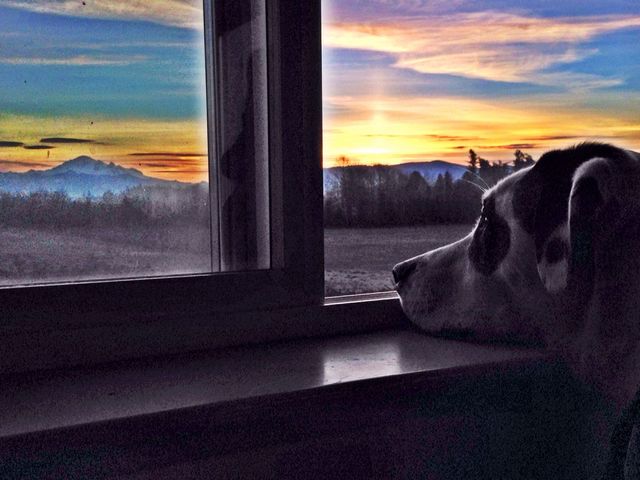 Gazing at the Sunrise