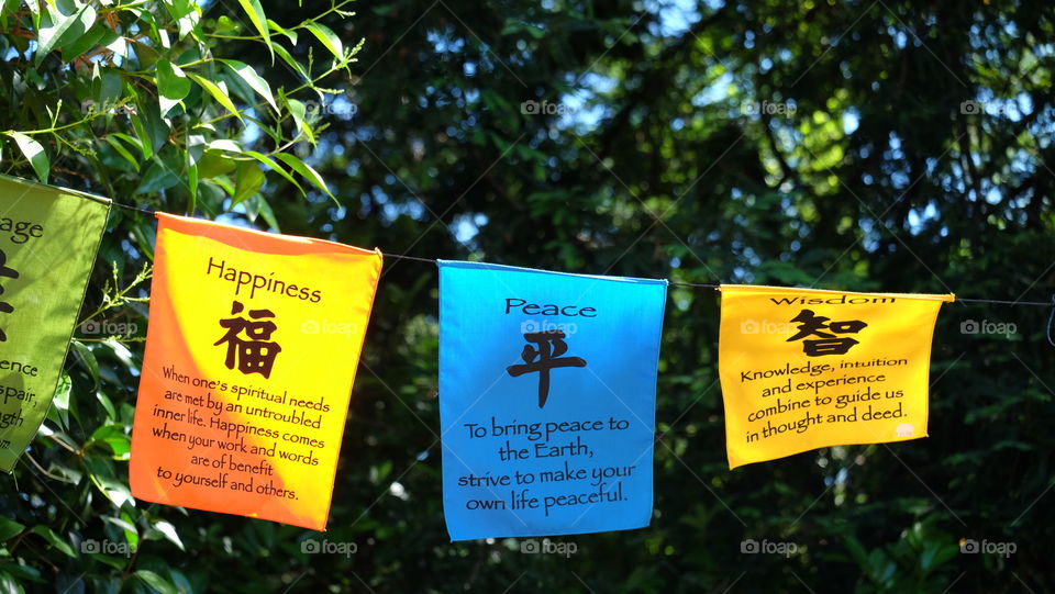 Flags with positives messages