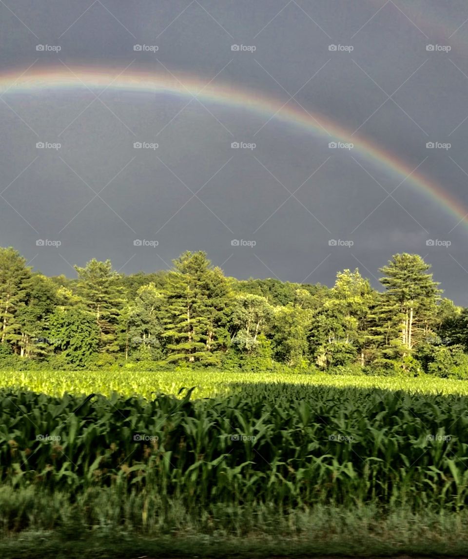 Rainbow during a thunderstorm 