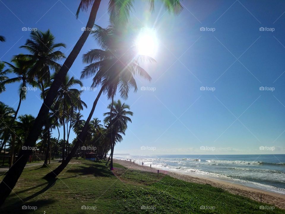 Sunlight on The Beach